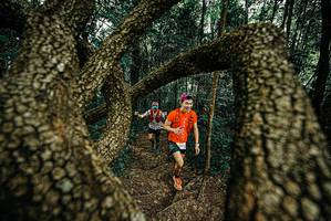 BIB: 
                            <button type="button" onclick="openModal(25668668)" class="btn btn-primary btn-sm float-right btn-popup" data-toggle="modal" data-target=".modal-high-quality">
                        <i class="fas fa-shopping-cart"></i> Add to Cart
                    </button>
                                            <button type="button" onclick="isThisMe(25668668, true)" class="btn btn-success btn-sm float-right btn-popup btn-isme hidden" data-toggle="tooltip" data-placement="bottom" title="นี่คือรูปของคุณใช่ไหม คลิกที่นี่เพื่อเอาเข้าอัลบั้ม">
                        <i class="fas fa-plus"></i> Add to album
                    </button>
                    <button type="button" onclick="isThisMe(25668668, false)" class="btn btn-warning btn-sm float-right btn-popup btn-isnotme hidden">
                        <i class="fas fa-ban"></i> Remove from album
                    </button>